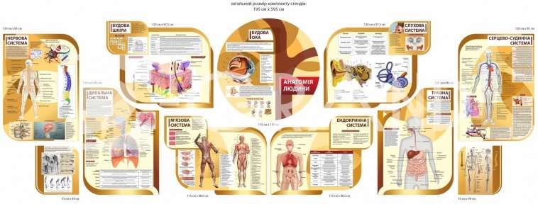 Комплект стендів з біології 