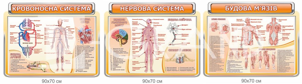 Комплект стендів у кабінет біології 