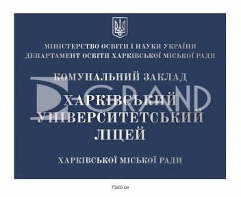 Фасадна пластикова вивіска для ліцею