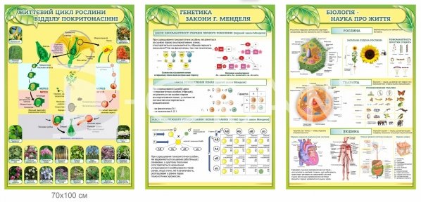 Банери з біології 