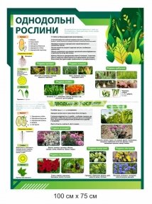 Стенд 
