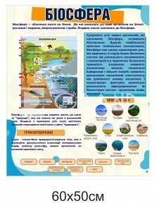 Навчальний стенд 