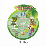 Стенд у кабінет біології 