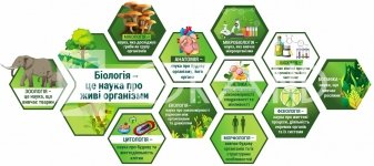  Модульна композиція стендів в кабінет біології