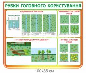 Стенд з лісівництва 